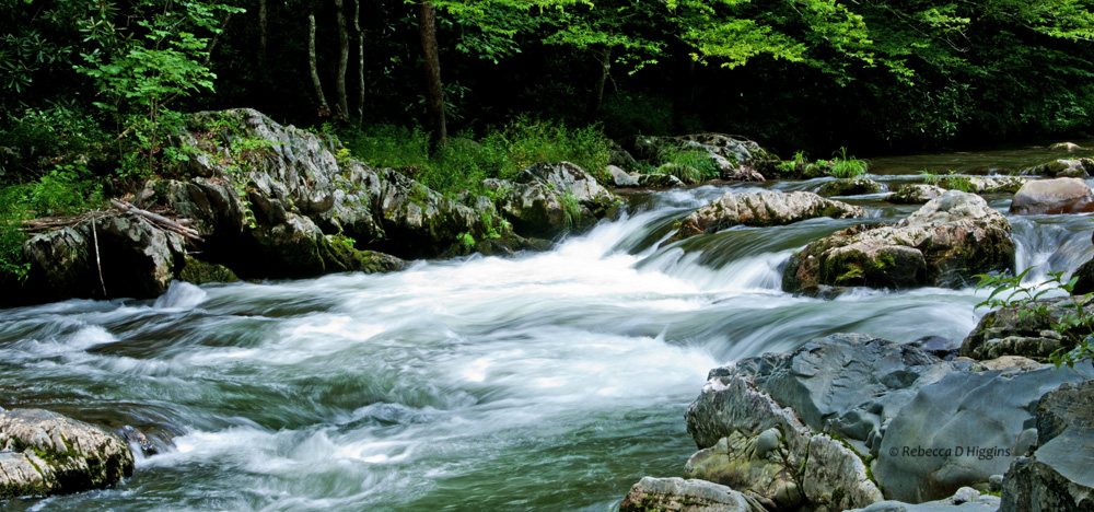 A Look Through My Lens